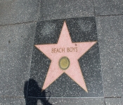 2014 LA CA WalkofFame 009